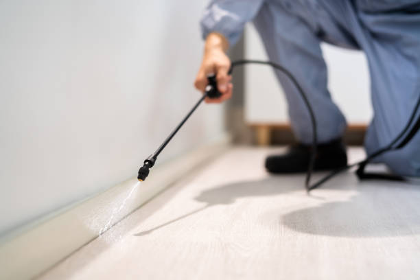 Licensed Pest Control service in Upper Lake, CA - Show Me Pest Control