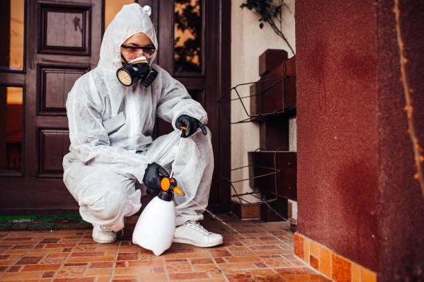 Reliable Wasp Removal contractor in Upper Lake, CA by Show Me Pest Control